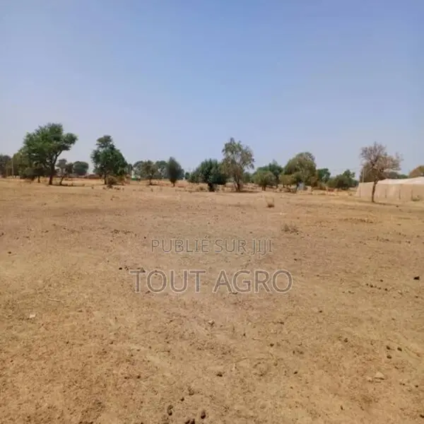 Terrain De 1,08 Hectare Vers Tassette