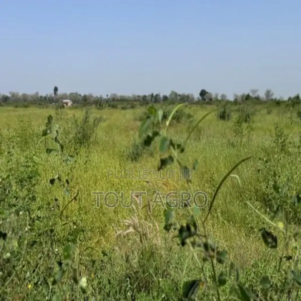 Terrain Agricole De 1,8 Hectare Vers Fissel