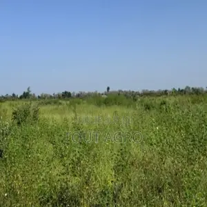 Terrain Agricole De 1,8 Hectare Vers Fissel