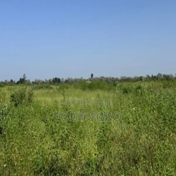 Terrain Agricole De 1,8 Hectare Vers Fissel