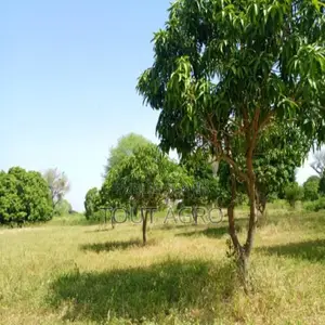 Terrain De 1 Hectare Vers Keur Madaro