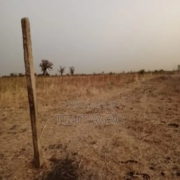 Terrain De 1 Hectare Vers Nguéniène