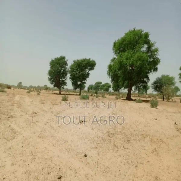 Terrain De 1,06 Hectare Vers Tassette