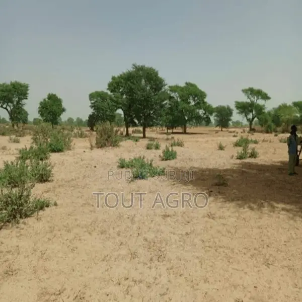 Terrain De 1,06 Hectare Vers Tassette