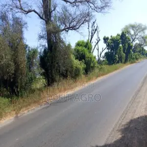 Terrain De 1,23 Hectare Vers Keur Madaro