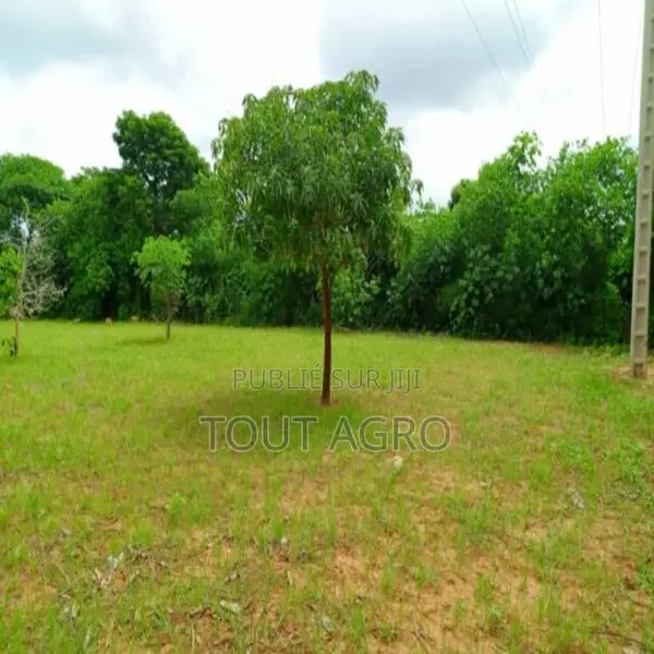 Terrain De 1,27 Hectare Vers Keur Moussa