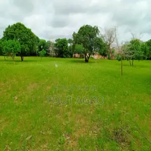 Terrain De 1,27 Hectare Vers Keur Moussa