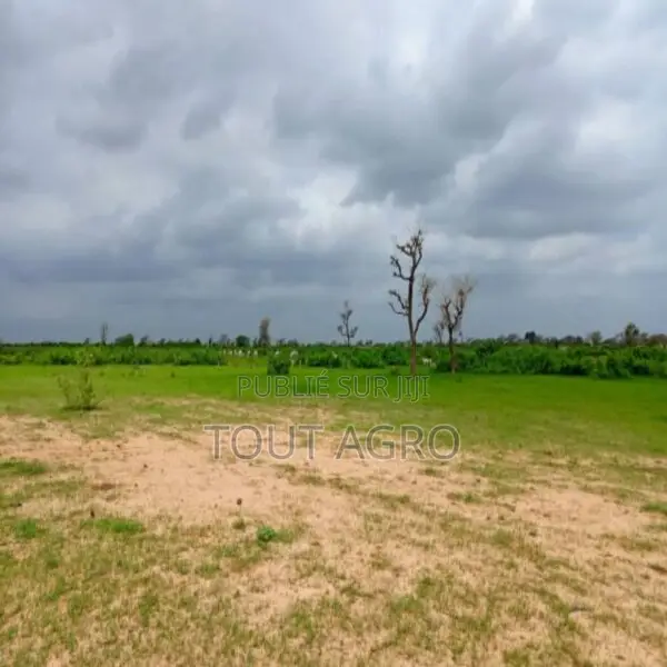 Terrain De 1,27 Hectare Vers Notto Diobass