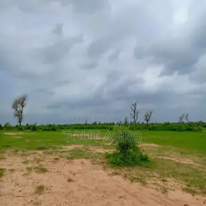 Terrain De 1,27 Hectare Vers Notto Diobass