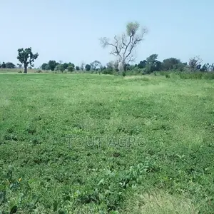 Terrain De 1,50 Hectare Vers Sandiara