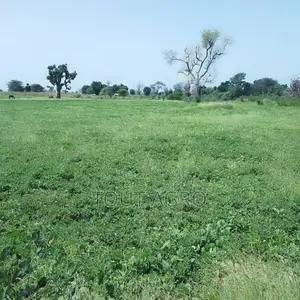 Terrain De 1,50 Hectare Vers Sandiara