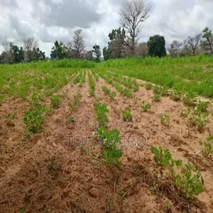 Terrain De 1,55 Hectare Vers Notto Diobass