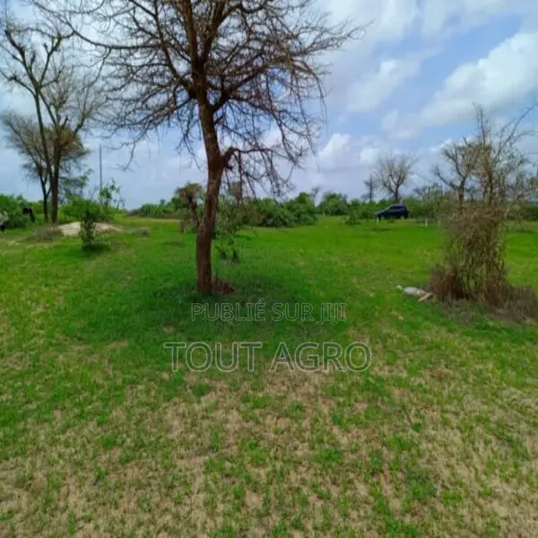 Terrain De 1,57 Hectare Vers Keur Moussa