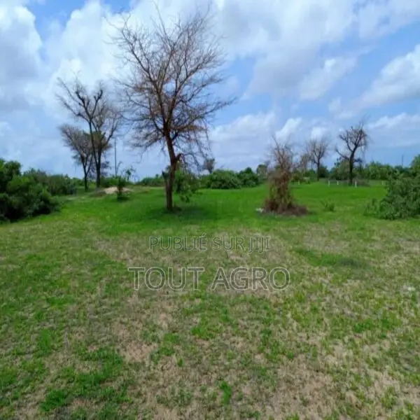 Terrain De 1,57 Hectare Vers Keur Moussa
