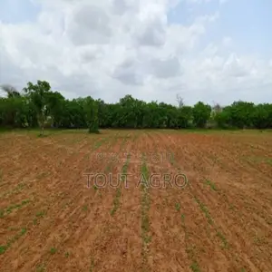 Terrain De 1,59 Hectare Vers Keur Moussa