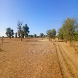 Photo - Terrain De 1,71 Hectare Vers Mbadiane