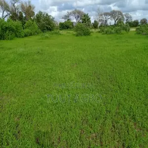 Terrain De 1,87 Hectare Vers Tassette