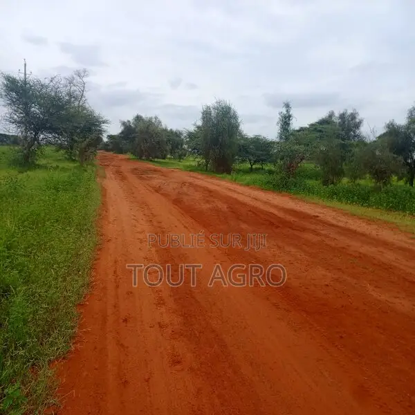 Terrain De 1,95 Hectare Vers Dalla Ngabou