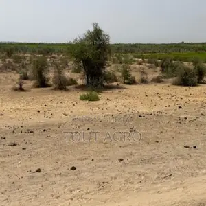 Terrain De 10 Hectares Vers Diama