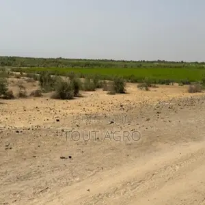 Terrain De 10 Hectares Vers Diama