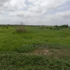 Photo - Terrain De 10 Hectares Vers Keur Moussa