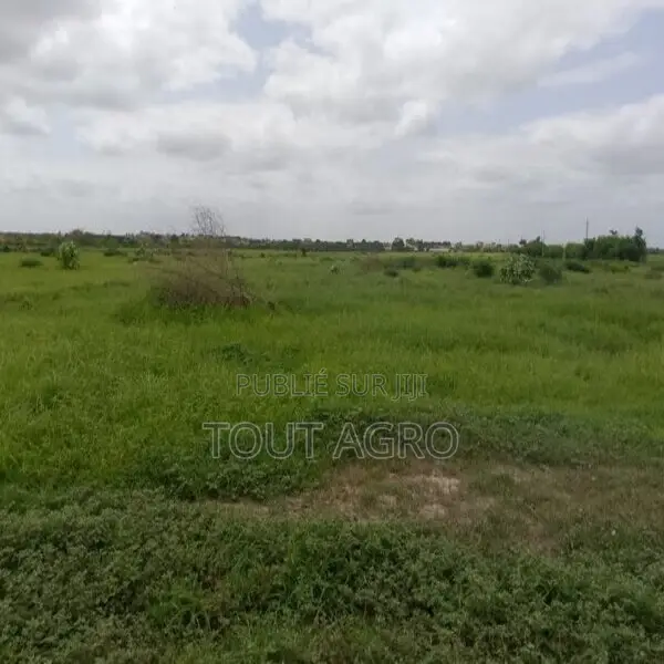 Terrain De 10 Hectares Vers Keur Moussa