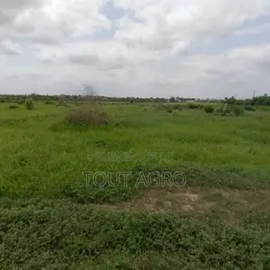 Terrain De 10 Hectares Vers Keur Moussa