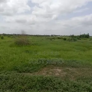 Terrain De 10 Hectares Vers Keur Moussa