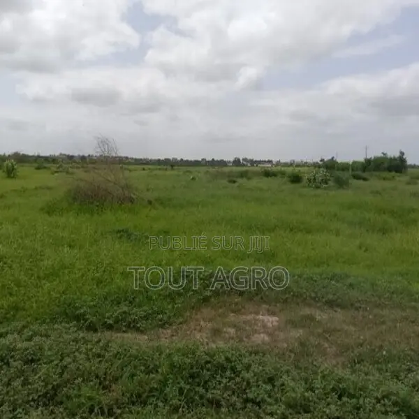 Terrain De 10 Hectares Vers Keur Moussa