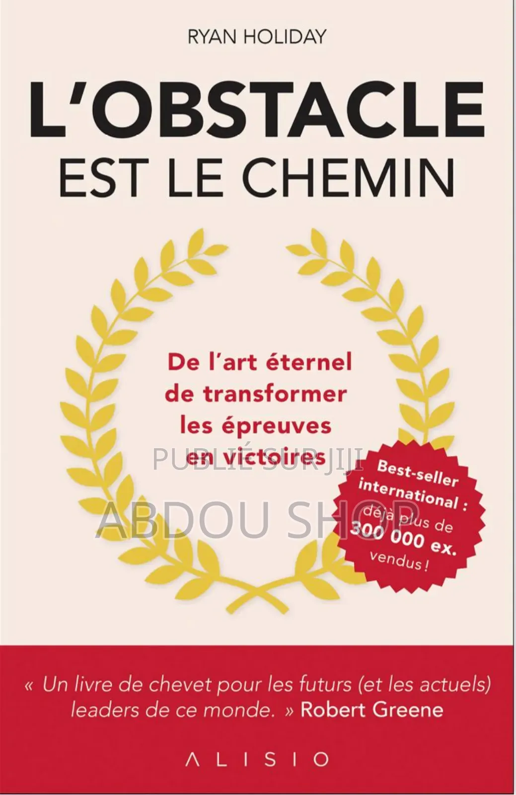 l'Obstacle Est Le Chemin