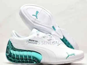 Photo - Original Puma Mercedes
