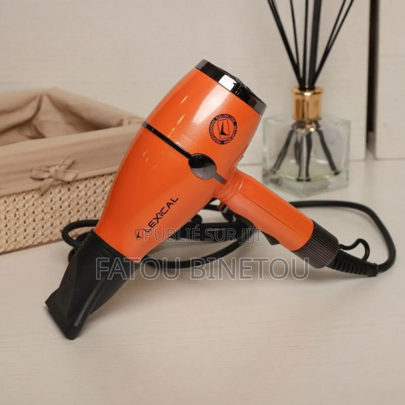 Sèche Cheveux Électrique