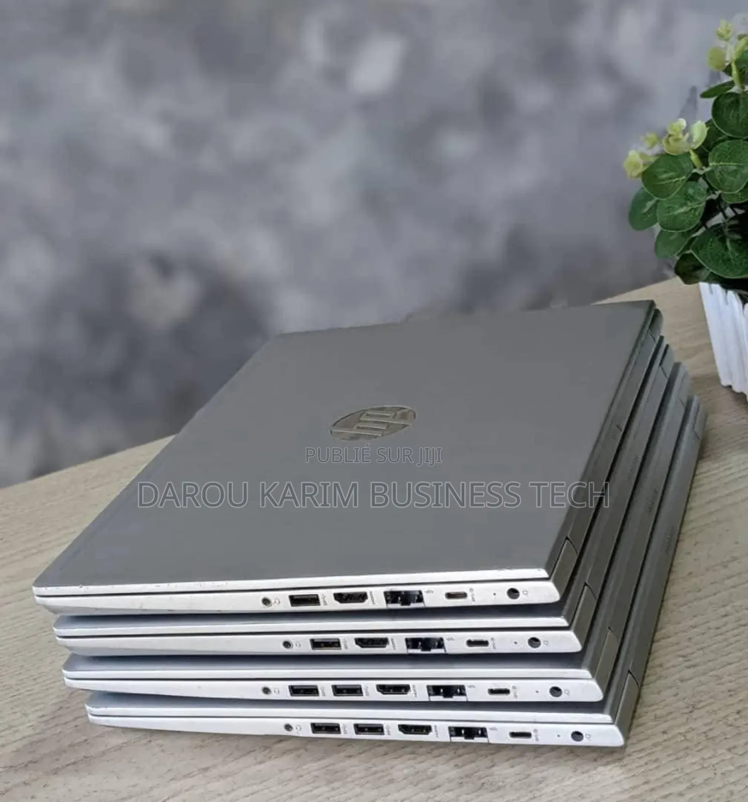 Ordinateur Portable HP ProBook 440 G7 8GB AMD Ryzen 5 HDD+SSD 500GB