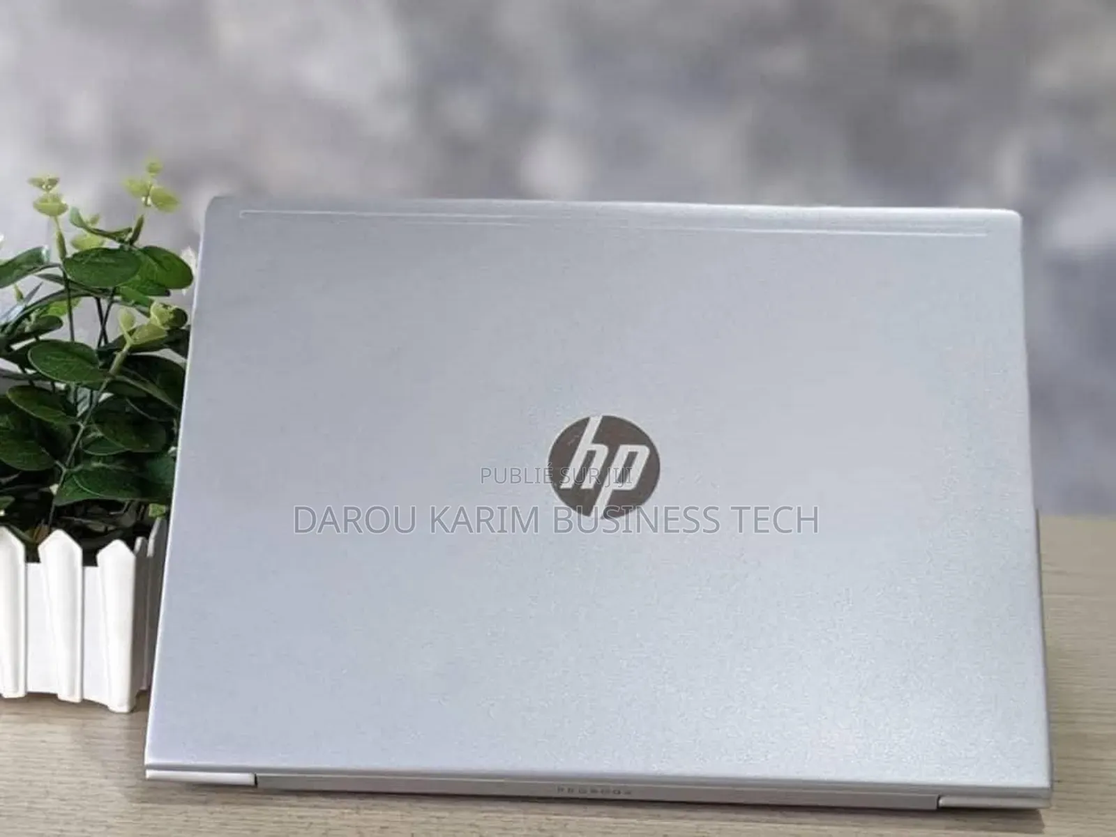 Ordinateur Portable HP ProBook 440 G7 8GB AMD Ryzen 5 HDD+SSD 500GB