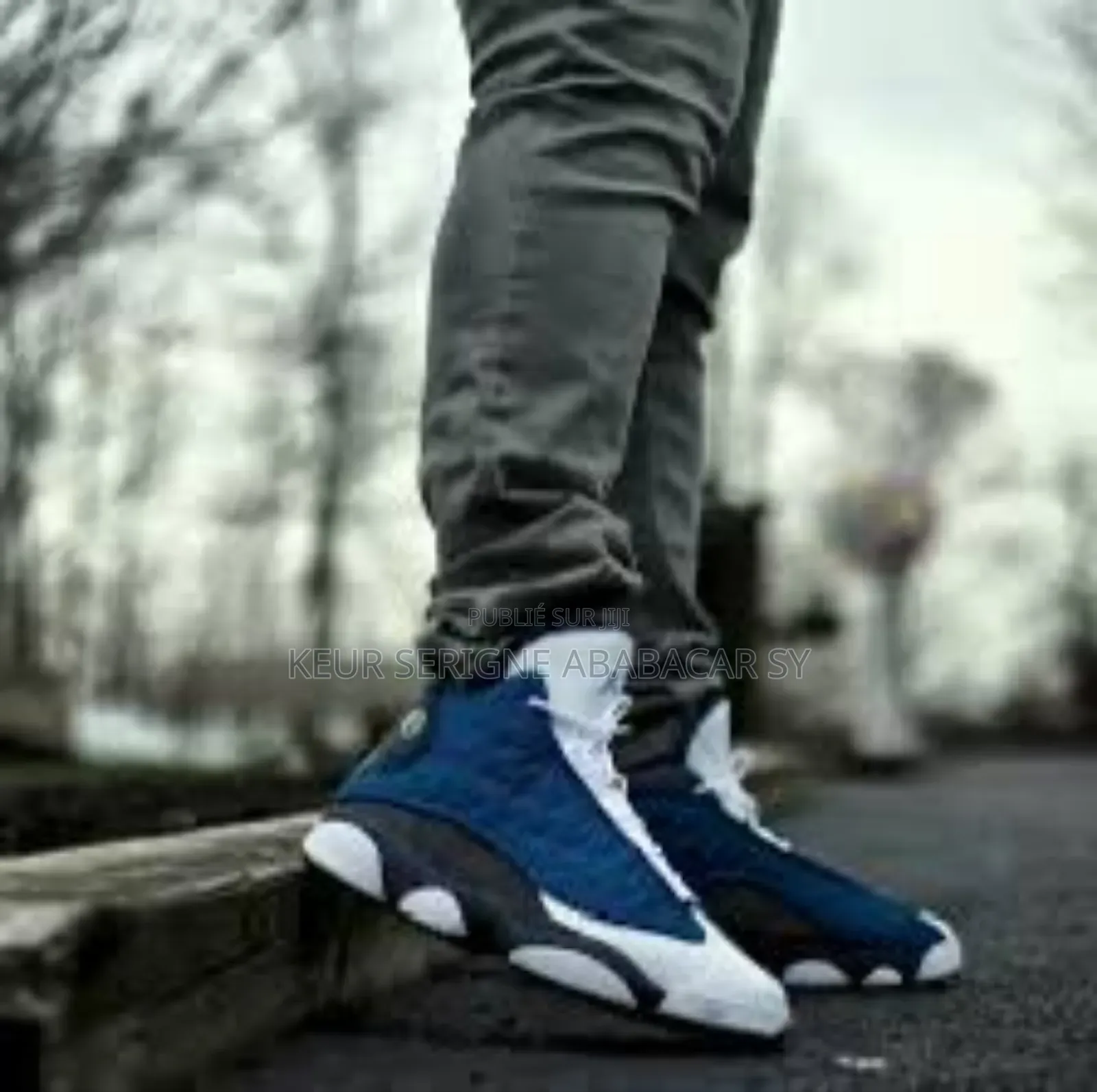 Air Jordan Christian Dior