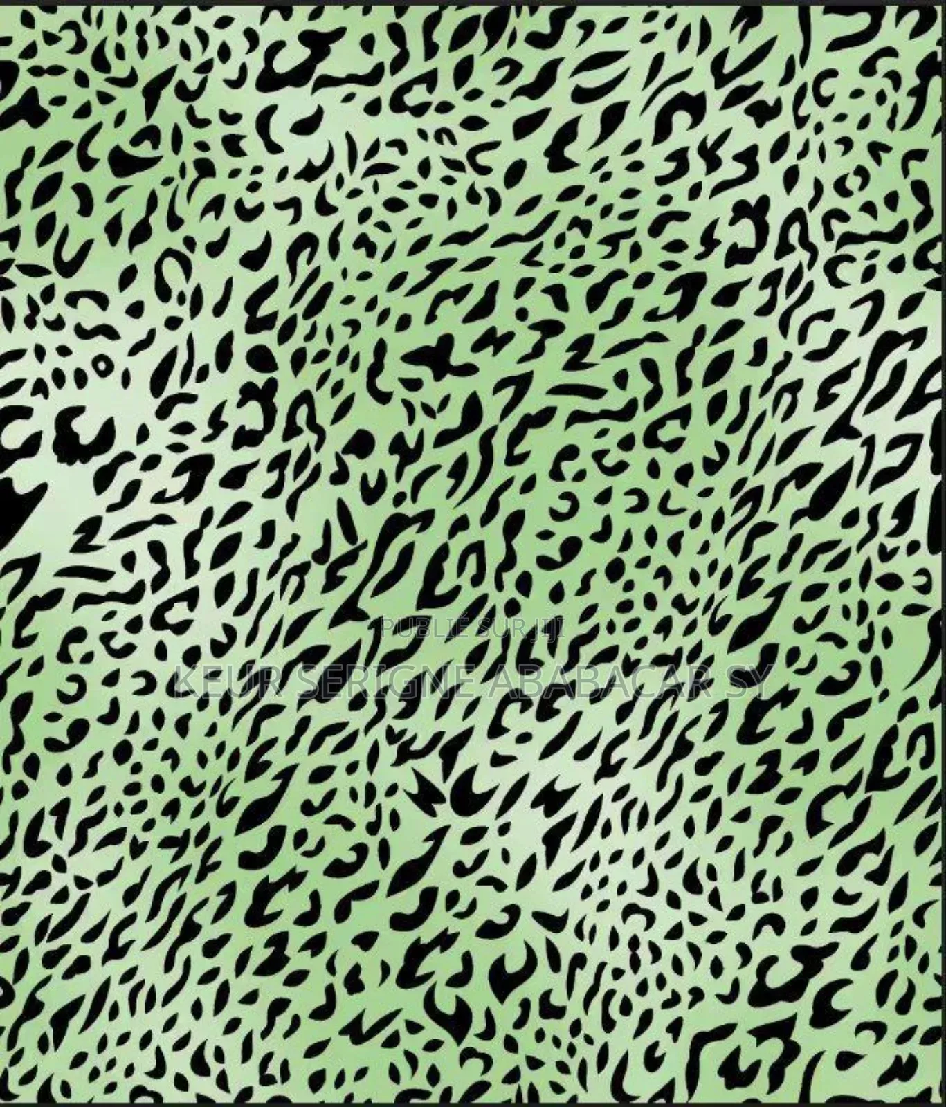 Robe Léopard Argentées Avec Manches