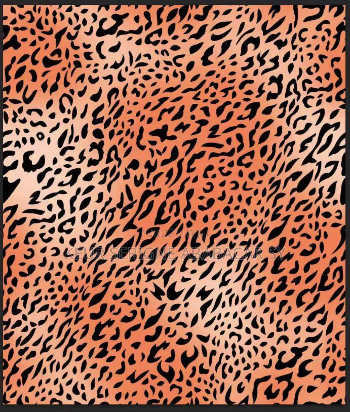 Robe Léopard Argentées Avec Manches