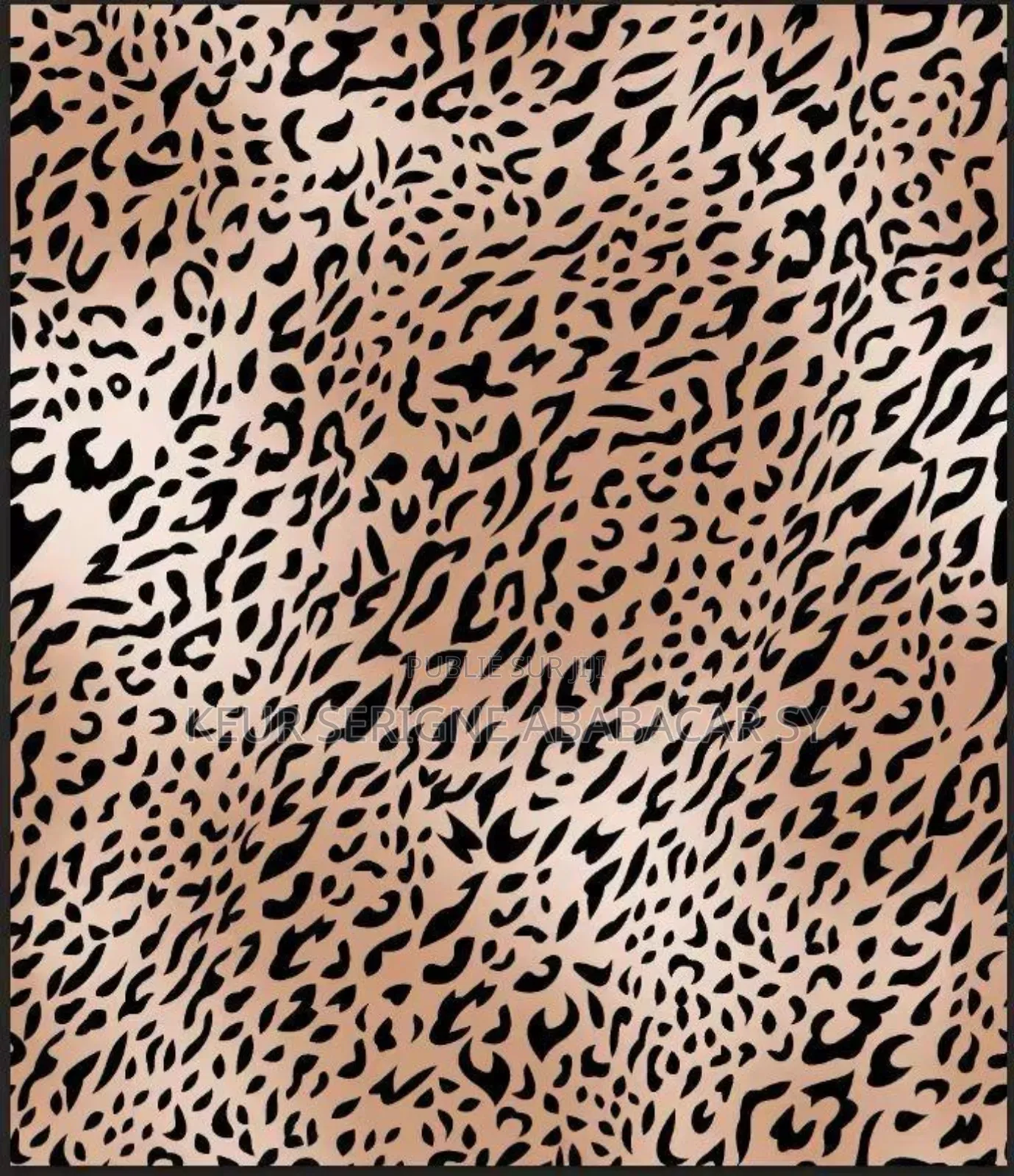 Robe Léopard Argentées Avec Manches