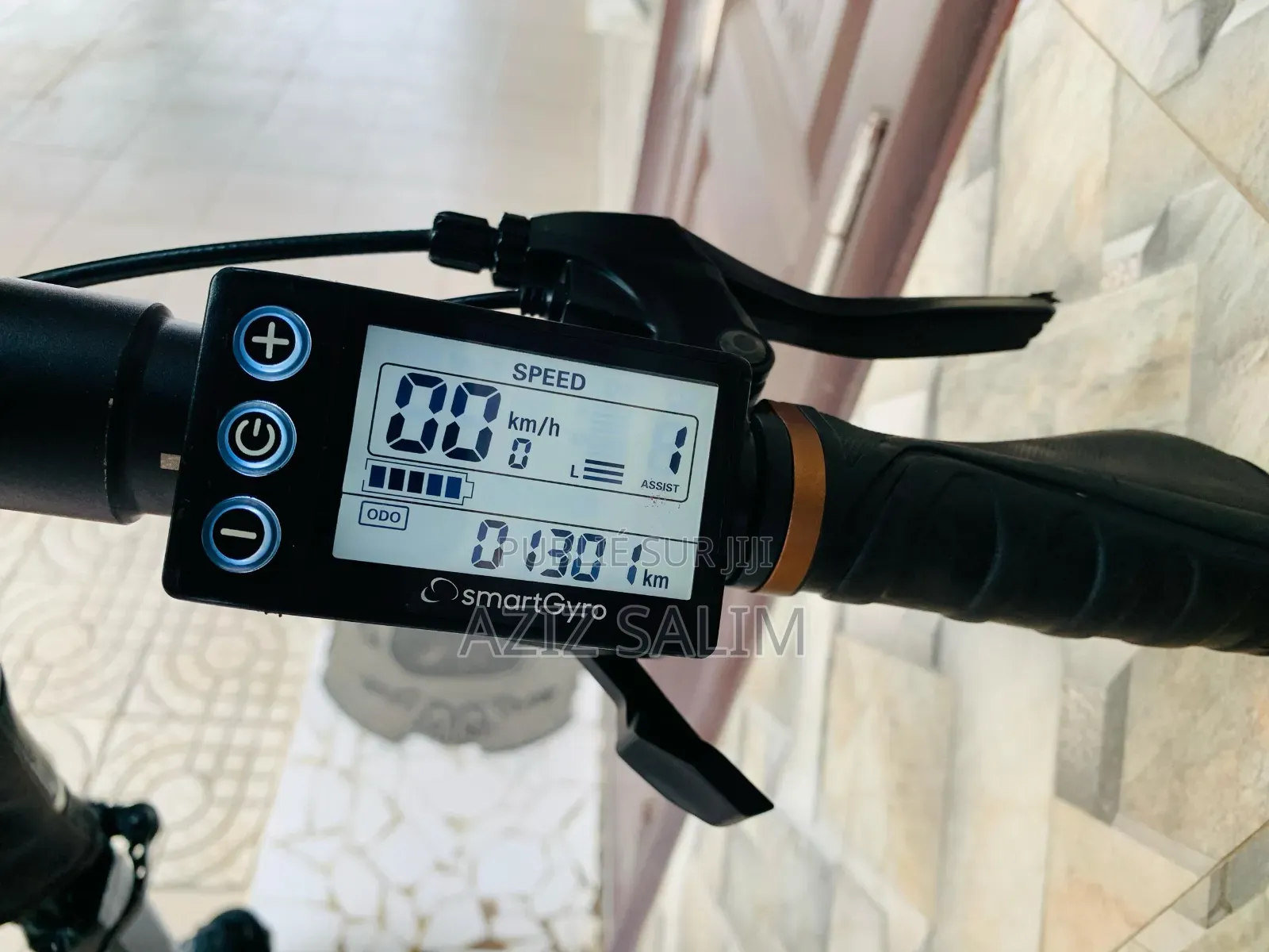 Trottinette Speedway Pro