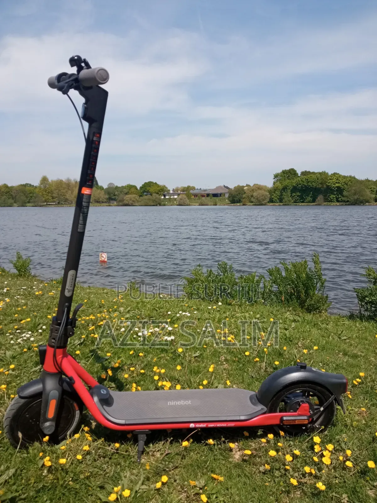 Trottinette Ninebot D38u