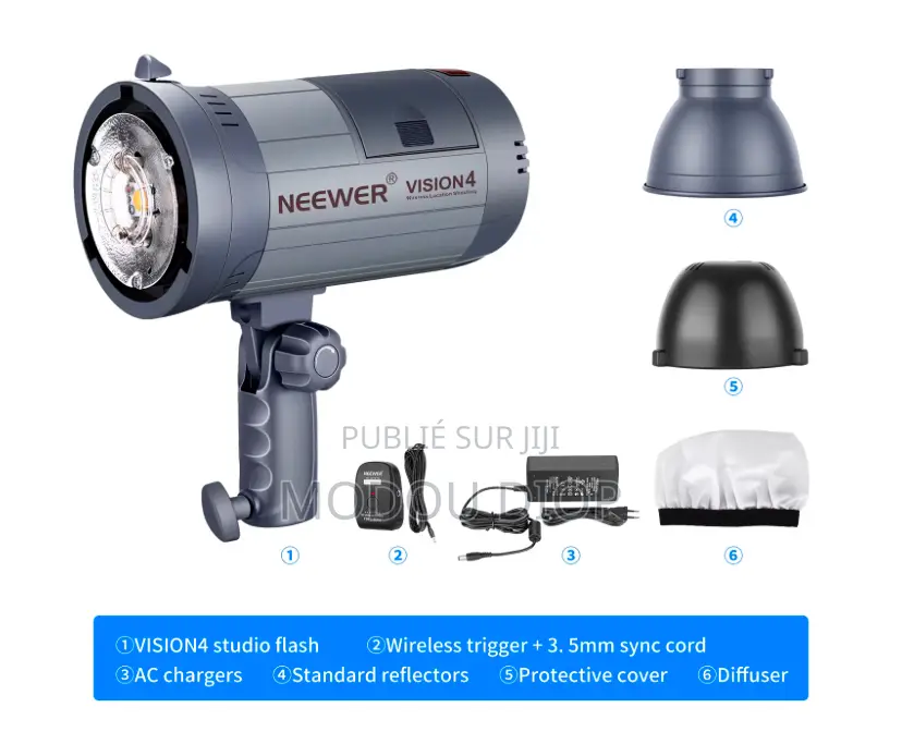 Flash Neewer Vision 4