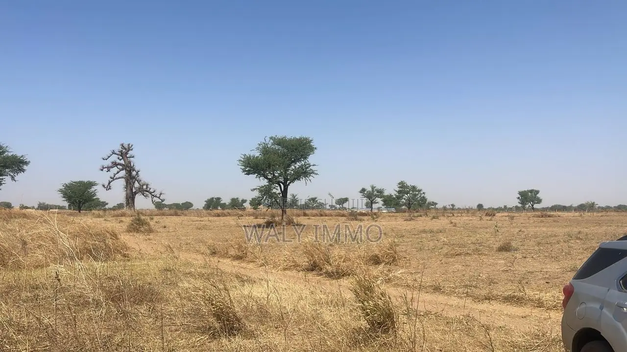 Terrain De 300 Mètres Carrés À Vendre À Saly Sénégal
