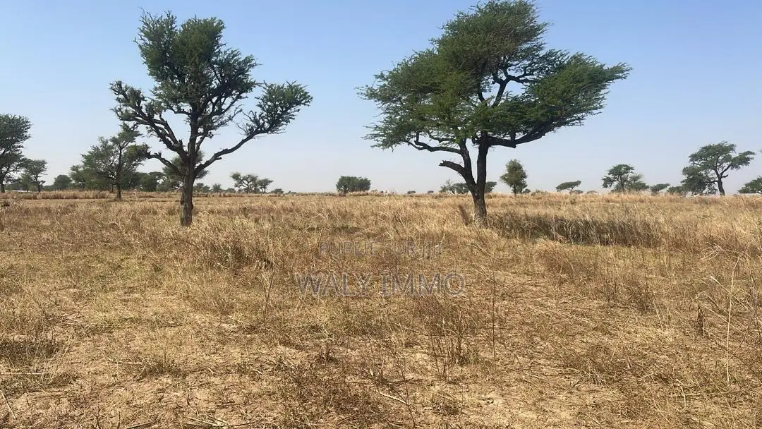 Terrain De 300 Mètres Carrés À Vendre À Saly Sénégal