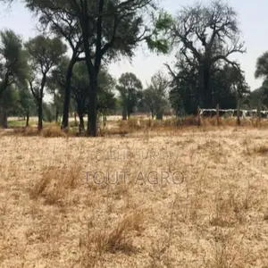 Photo - Terrain Agricole De 1,64 Hectare Vers Tassette