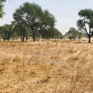 Terrain Agricole De 1,64 Hectare Vers Tassette