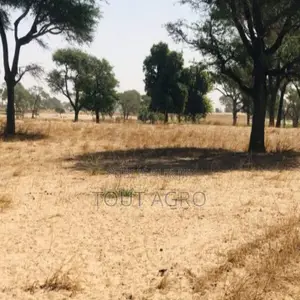 Terrain Agricole De 1,64 Hectare Vers Tassette