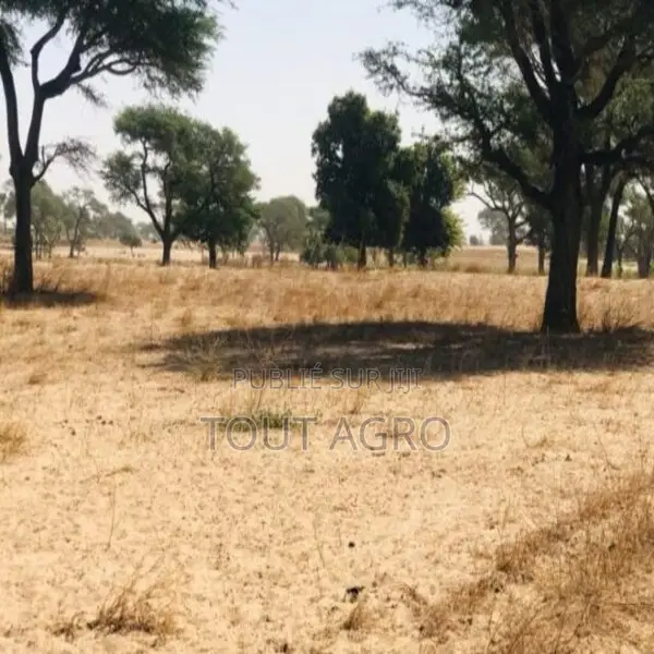 Terrain Agricole De 1,64 Hectare Vers Tassette