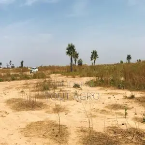 Photo - Terrain Agricole De 1,99 Hectare Vers Notto Diobass