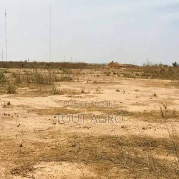 Terrain Agricole De 1,99 Hectare Vers Notto Diobass