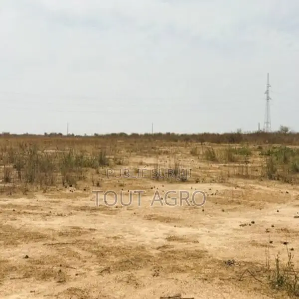 Terrain Agricole De 1,99 Hectare Vers Notto Diobass